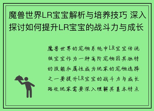 魔兽世界LR宝宝解析与培养技巧 深入探讨如何提升LR宝宝的战斗力与成长路径