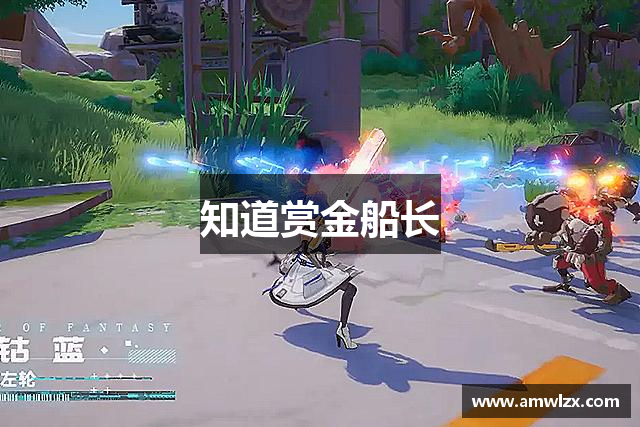 知道赏金船长